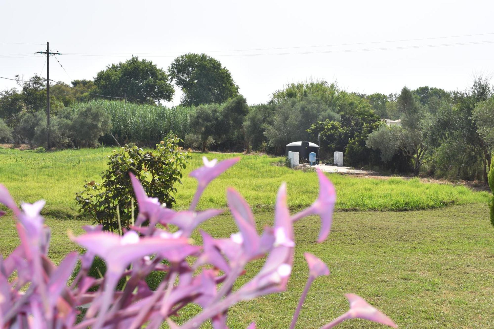 الشقق الفندقية Kávosفي  Kokkinia Gardens المظهر الخارجي الصورة